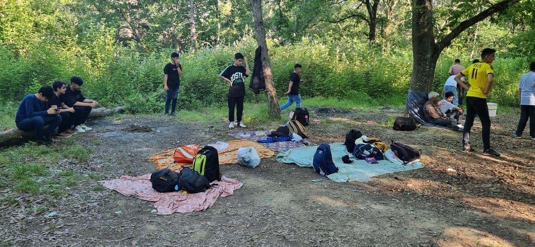 تصویر مقاله